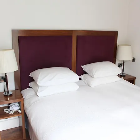 The Lombard Townhouse Penzion Dublin