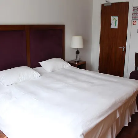 The Lombard Townhouse Penzion Dublin